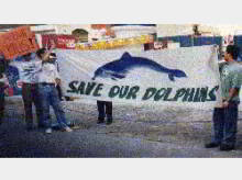 July 4th World Day for Captive Dolphins Phillipines